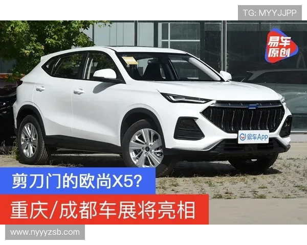 梅加与科美西欧的对决：一场科技与文化的精彩碰撞